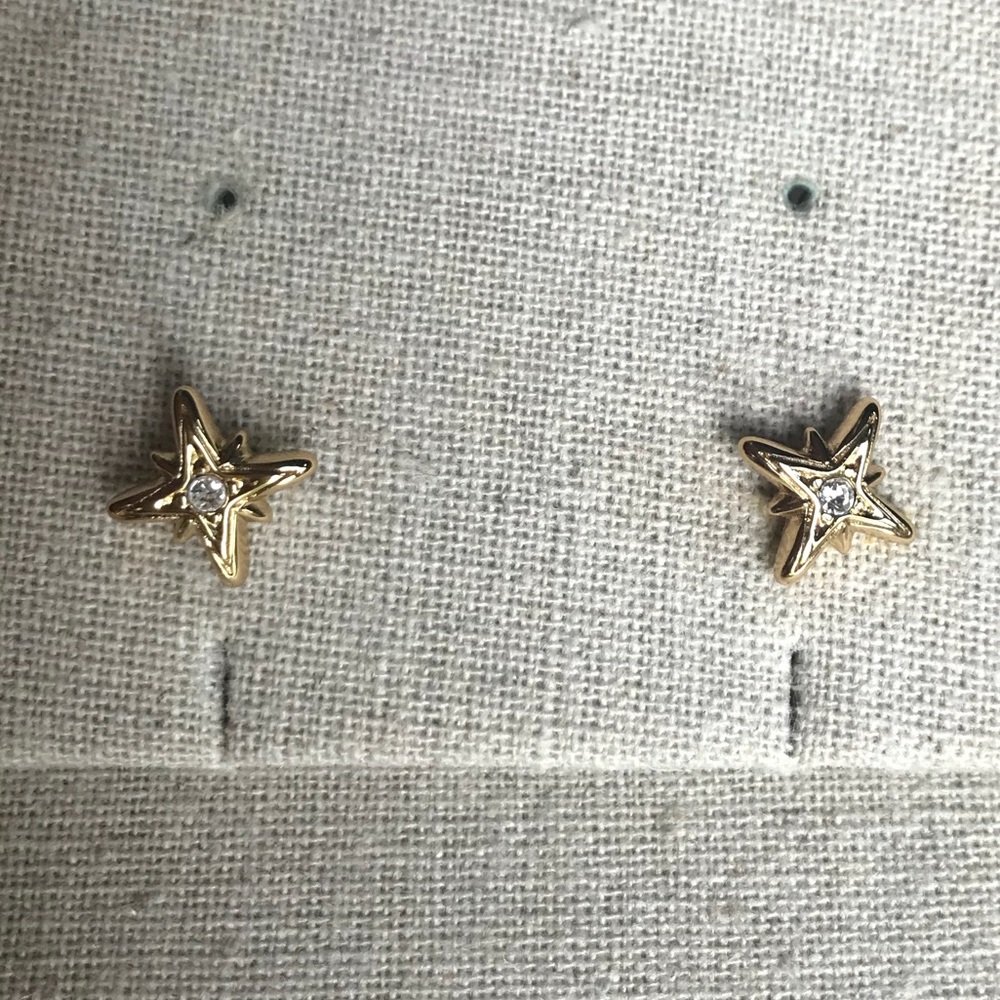Stella & Dot Star Stud Earrings